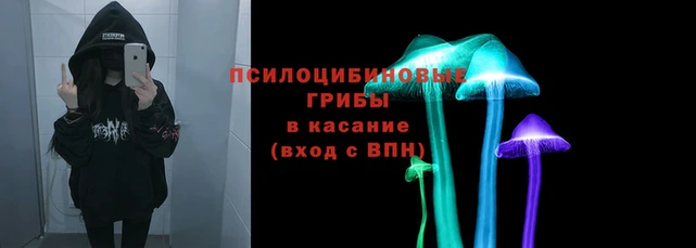 PSILOCYBIN Медногорск