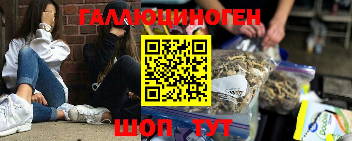 Галлюциногенные грибы мухоморы Дубна