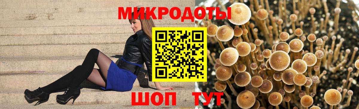 Галлюциногенные грибы Cubensis  Дубна  Галлюциногенные грибы MAGIC MUSHROOMS 