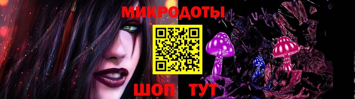 Дубна  Псилоцибиновые грибы Psilocybe  Вход с VPN 